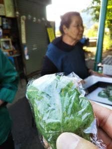 富士見茶屋