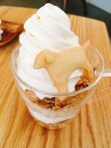 DOG DEPT GARDEN 港の見える丘公園店
