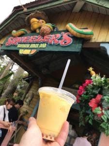 スクウィーザーズ・トロピカル・ジュースバー