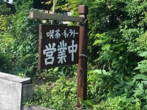 やってるよ