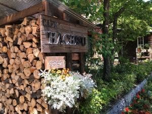 CAFE HACHISU
