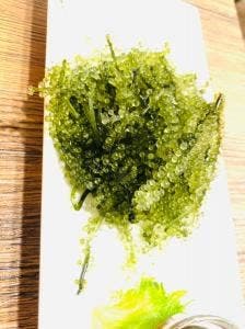 焼彩沖縄家 ゆんたく