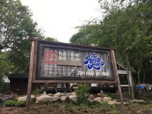 ジョシュアツリー