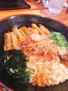 稲庭風うどん 玉や