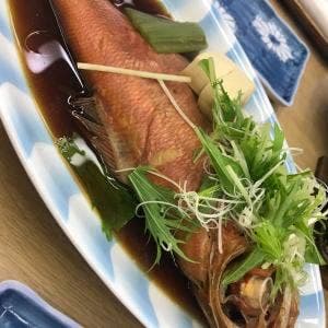 伊豆 伊東温泉 湯あみの宿 かめや楽寛