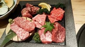 Beef Collection HIRAMATSU