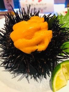 カチドキ