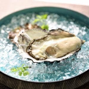 Oyster Bar BAR BAR PROPECHO