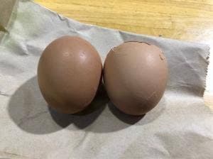 硫黄山MOKMOKベース