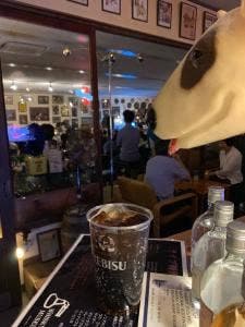kt s museum Bar 天領日田洋酒博物館