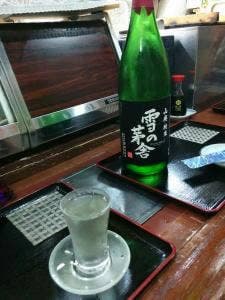桐の木