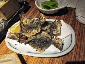 魚ゆるり。 平塚店
