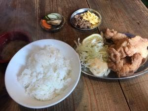 九条トリコ