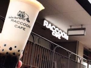 RACCOON CAFE