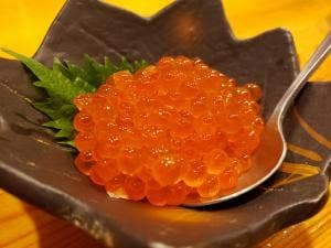 季節料理とお酒 わさび