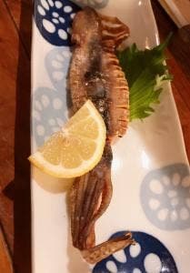 ぼちぼちいこか