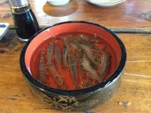 漁火