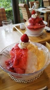 森の芽ぶきたまご舎愛島本店