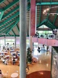 埼玉医科大学国際医療センター テレサホール