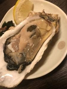 めいじ家 大舟