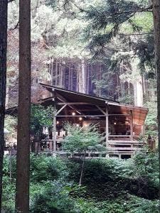 名草イワナパーク Cafe