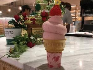 CRAZY STRAWBERRY