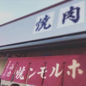 山力