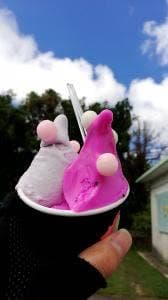 島ジェラート&カフェ ISOLA