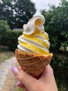 萩博物館レストラン