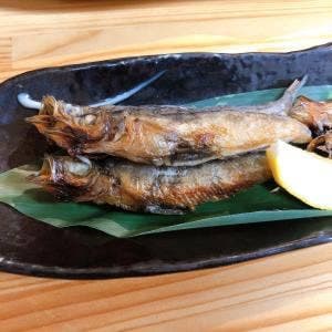 酒飯処かぐら