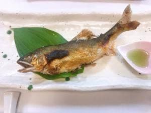 十一屋本店