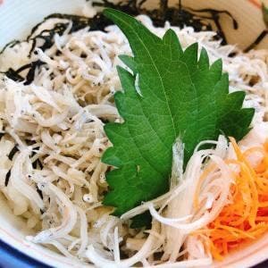 アニマルキングダム