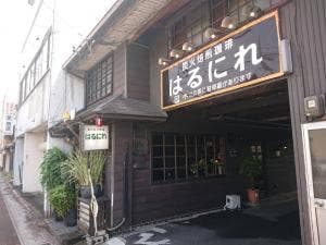 はるにれ