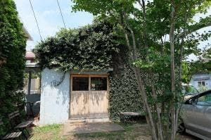 CAFE-D13 ときどき五味食堂