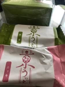 本家西尾八ツ橋 京都駅ビル専門店街 The CUBE