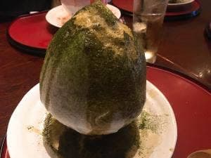 一豚