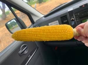 柳田とうもろこし店