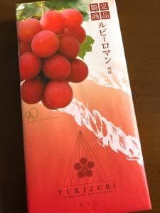 LE MUSEE DE H TOYAMA