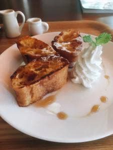 カフェ シェードツリー
