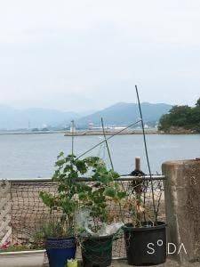 海辺のカフェ ヒキシマ