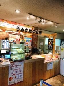 うみがめのお店 神戸市立須磨海浜水族園