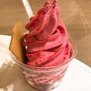 サン・フルーツ 日本橋三越店