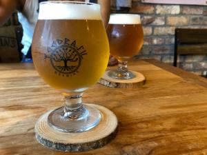 Yggdrasil Brewing