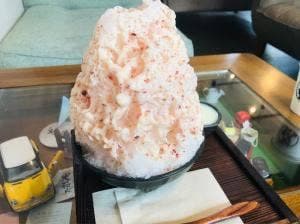 茶々処 ひとの和心