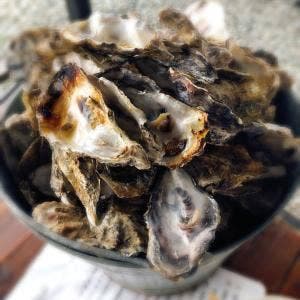 焼がき 大豊