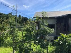 ワイルドキッチン石窯パン工房