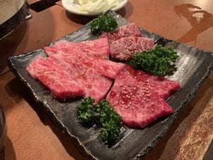 炭火焼肉からから苑