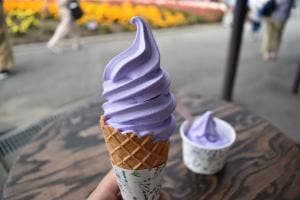 ファーム冨田 ラベンダーイースト