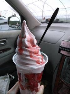 自然満喫倶楽部