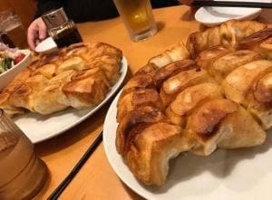 ぎょうざのさのや